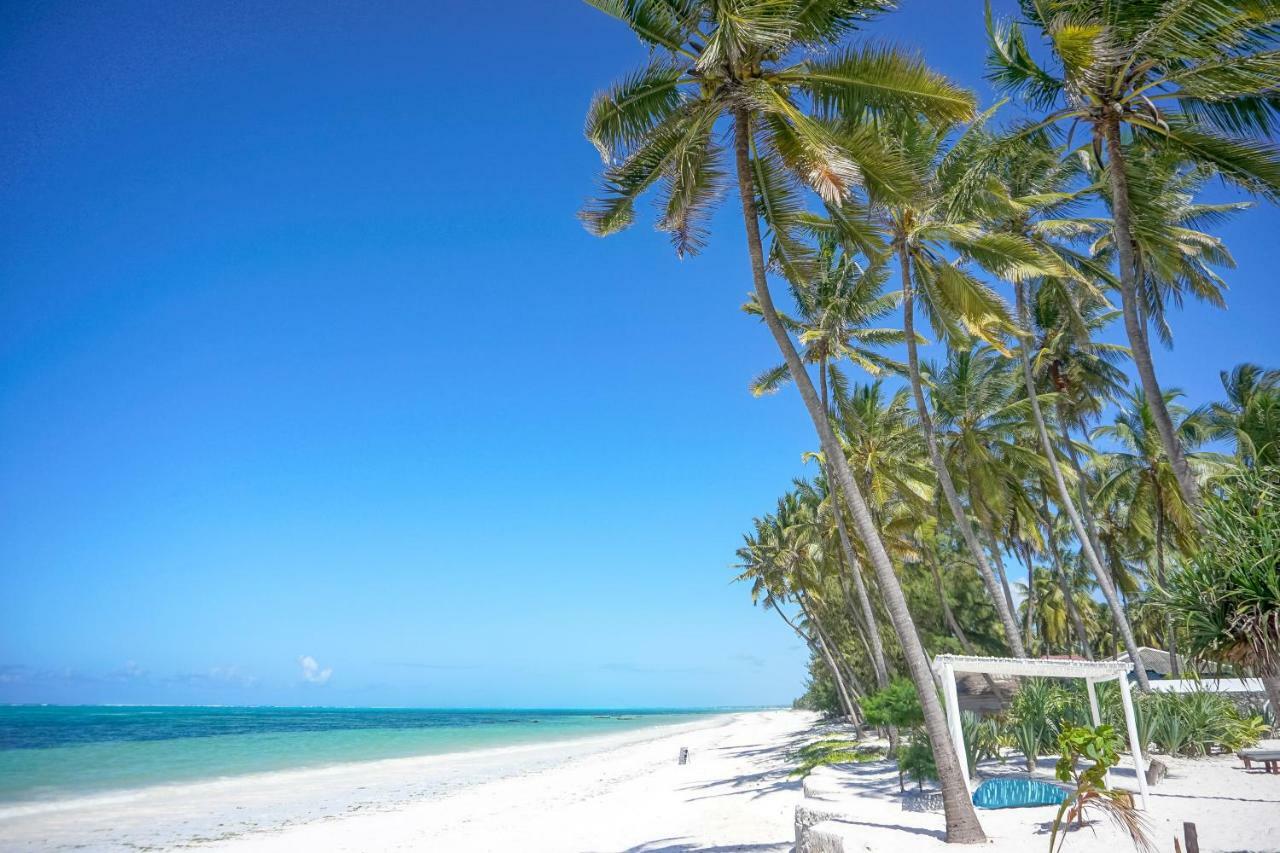 Indigo Beach Zanzibar Bwejuu Eksteriør billede